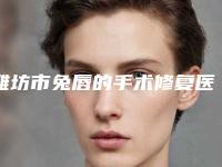 潍坊市兔唇的手术修复医生在榜清单top10哪个医美医生比较好-潍坊市兔唇的手术修复医生