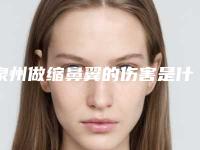 泉州做缩鼻翼的伤害是什么