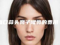 海口蒜头鼻子隆鼻的费用多少钱啊