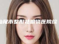 汕尾市整形祛眼袋医院综合实力前十强排行技术都不错(陆丰熙乔丽蕾医疗美容诊所榜单打卡不踩坑)