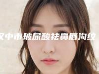 汉中市玻尿酸祛鼻唇沟纹医院排行榜前十强实力清单揭晓(汉中市玻尿酸祛鼻唇沟纹整形医院)