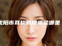 沈阳市耳软骨隆鼻梁哪里整形医院好(辽宁沈阳欣博美整形私立医美价格更到位)