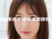 沈阳市鼻子缩窄术型医院哪里好(沈阳颜悦医疗美容整形诊所2025价格优惠情况)