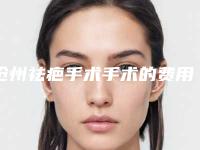 沧州祛疤手术手术的费用「沧州祛疤手术手术费用计算」