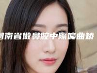 河南省做鼻腔中隔偏曲矫正手术最出名的医生-河南省王齐兴整形医生