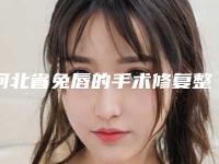 河北省兔唇的手术修复整形美容医院(保定芙瑞医疗美容门诊部你比较看好哪一家)