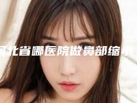 河北省哪医院做鼻部缩小推荐：鼻部缩小医院前30佳收录名单一览