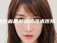 河北省唇颊部修改术医院排名前五独家测评-河北省唇颊部修改术整形医院