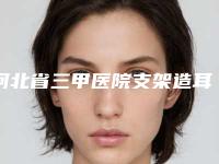 河北省三甲医院支架造耳朵推荐:支架造耳朵医院top30强榜单新鲜出炉