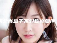 河北省鼻子不对称修复医生排行前十位实力领衔-左海潮医生榜前三惊艳亮相