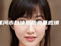 漯河市自体脂肪鼻基底填充医院整形-漯河苏美尔整形门诊部入驻榜一
