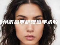 漳州市鼻甲肥隆鼻手术收费明细2025优惠巨献(鼻甲肥隆鼻手术均价为：20257元)