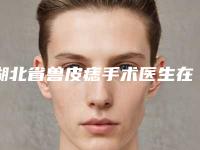 湖北省兽皮痣手术医生在榜清单前十位新版汇总-吴希晞医生正规医院_更专业