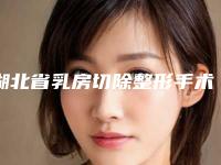 湖北省乳房切除整形手术医院推荐：乳房切除整形医院前30谁做的好