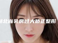 湖北省乳房过大矫正整形医院(武汉江岸天申医疗美容门诊部医美5强实力不俗)