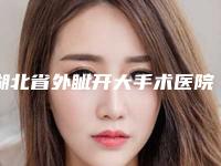 湖北省外眦开大手术医院排行详解-湖北省外眦开大手术整形医院