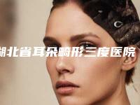 湖北省耳朵畸形三度医院推荐:耳朵畸形三度医院30强上榜机构盘点