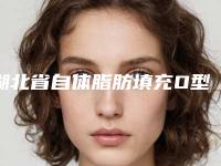 湖北省自体脂肪填充O型腿医院上榜名单实力派篇来袭(黄冈韩美实力圈粉)
