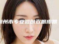湖州市专业微创双眼皮跟全切双眼皮医生好的哪位医生(刘翠竹医生看到就是赚到)