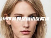 湖州市鼻翼整复术医院排行榜前十位清单流出（湖州市鼻翼整复术整形医院）