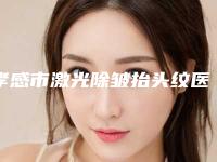 孝感市激光除皱抬头纹医院在榜清单前十强榜单更新（孝感缘临美容诊所学历高技术实力绝佳）