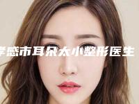 孝感市耳朵太小整形医生排行榜十强最新发布-仵金象医生排名第一