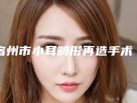 宿州市小耳畸形再造手术医院排行前十名私立推荐-宿州康丽医疗美容各有技术特点