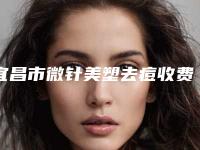 宜昌市微针美塑去痘收费明细2025爆新-宜昌市微针美塑去痘费用问题