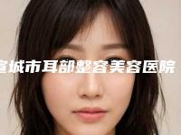 宣城市耳部整容美容医院在榜清单综合实力前十强哪个医（宣城市耳部整容美容整形医院）