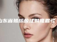 山东省玻尿酸注射隆眉弓医院在榜清单十强哪家比较好（山东省玻尿酸注射隆眉弓整形医院）