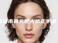 延安市鼻头肥大矫正手术医院在榜清单TOP10精品机构汇总-延安市鼻头肥大矫正手术整形医院