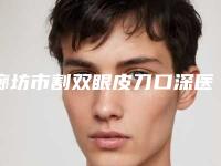 廊坊市割双眼皮刀口深医院排行top10强显示一览-廊坊市割双眼皮刀口深整形医院