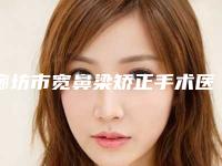 廊坊市宽鼻梁矫正手术医生排行全面出击-洪承业医生人气超高_建议收藏