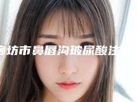 廊坊市鼻唇沟玻尿酸注射医院在榜清单前十名机构点评（廊坊京颜医疗美容诊所连锁谁的技术好人气又高）