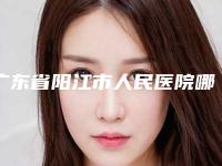 广东省阳江市人民医院哪里好-推荐陈仕星医生,李孟和医生