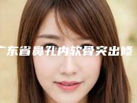 广东省鼻孔内软骨突出修复价格价位表都不贵-广东省鼻孔内软骨突出修复是如何确定费用