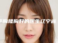 平胸隆胸好的医生辽宁省(张嘉林医生实力令人刮目相看)