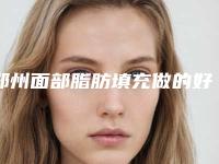 郑州面部脂肪填充做的好的医生是谁？李文祥、王洛生、郭晓光、郭金冉
