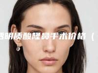 透明质酸隆鼻手术价格(进口隆鼻假体的价格)