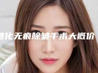 通化无痕除皱手术大概价格大致是多少