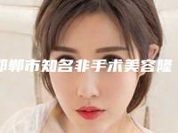 邯郸市知名非手术美容隆鼻医院-邯郸金煌后医疗美容连锁综合实力大盘点