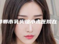 邯郸市乳头缩小术医院在榜清单十强归类-邯郸市乳头缩小术整形医院