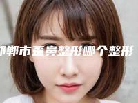 邯郸市歪鼻整形哪个整形医院安全(邯郸市雅丽医疗美容整形医院看哪个医生技术好)