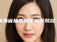 青海省抽脂肪丰胸医院综合实力前十口碑排行都是实力医-排名靠前青海省整形医院