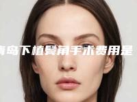 青岛下植鬓角手术费用是多少与哪些因素有关