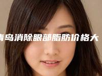 青岛消除眼部脂肪价格大约多少钱