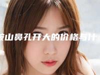 鞍山鼻孔开大的价格与什么因素有关呢