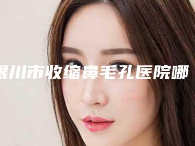银川市收缩鼻毛孔医院哪家-中国人民解放军联勤保障部队第九四二医院口碑和技术大不一样