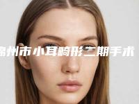 锦州市小耳畸形二期手术医院排名榜top10强名单首发-锦州锦美整形实力口碑都不差