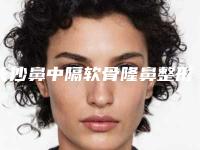 长沙鼻中隔软骨隆鼻整形医院排名情况!